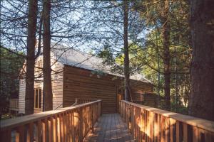 a wooden walkway leading to a cabin in the woods at Journeyman in Bromyard