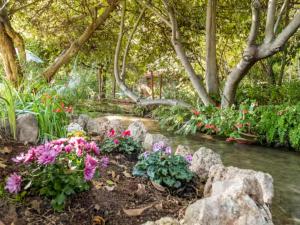a garden with flowers and rocks next to a stream at Cute apartment hagoshrim in HaGoshrim