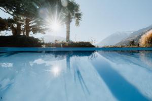 a swimming pool with a palm tree and the sun at Stricker Aparthotel in Tirolo