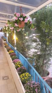 Zahrada ubytování Adana City Boutique Hotel