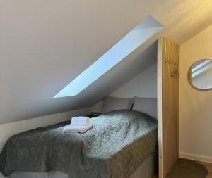 a bedroom with a bed with a skylight at Nordhavn in Harrislee