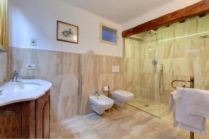 een badkamer met een wastafel, een douche en een toilet bij Palazzo Bucciolini in Florence