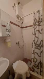 a bathroom with a shower curtain and a toilet at B&B LOKEV Lipica HostelSezana in Lokev +20 photos