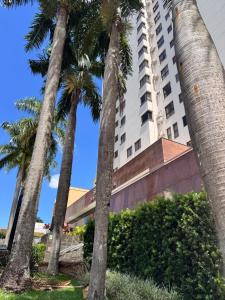 a group of palm trees in front of a building at Luix Londrina Flat 707, QS 43 m2 , ar quente e frio, c garagem in Londrina