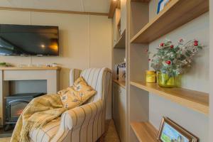 a living room with a chair and a television at Hot Tub Lodge 31 Cameron, St Andrews in St. Andrews +4 photos