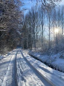 a snow covered road with footprints in the snow at Gartenblick in Blankenheim