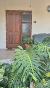 a front door of a house with plants in front at Le Grec Wine Tram Apartment #2 in Franschhoek