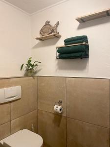 a bathroom with a toilet and a plant on a shelf at Gartenblick in Blankenheim +11 photos