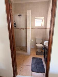 a bathroom with a shower with a toilet and a sink at Le Grec Wine Tram Apartment #2 in Franschhoek +6 photos