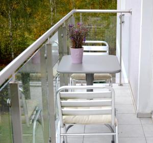 En balkong eller terrass på Apartments with spa Jacuzzi and sauna