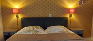 a bed with two lights on top of it at Het Nachtegaaltje in Surhuisterveen