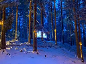 ein Wald mit Weihnachtslichtern im Schnee in der Unterkunft Beaver Cabin in Mora