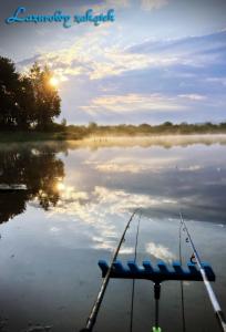 a boat in the water with a paddle in the water at Lazurowy Zakątek in Życiny