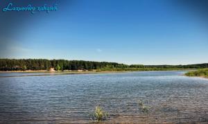 a large body of water with trees in the background at Lazurowy Zakątek in Życiny