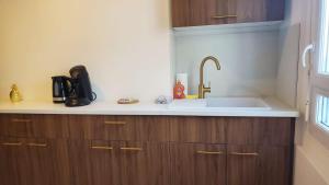 a kitchen with a sink and wooden cabinets at Le Balcon Cosy - Centre Clermont in Clermont-Ferrand +13 photos