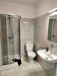 a bathroom with a toilet and a shower and a sink at KAMIENICA Pokoje & Restauracja in Opalenica +51 photos
