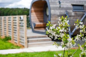 a building with a door and stairs in a yard at Highland Gateway Glamping in Clackmannan +23 photos