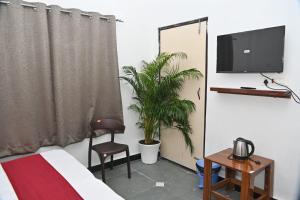 a bedroom with a bed and a tv and a plant at pitambara studio apartment with kitchen in Karadoho