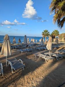 eine Gruppe von Liegestühlen und Sonnenschirmen an einem Strand in der Unterkunft Faros in Paphos City