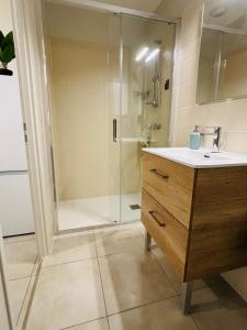 a bathroom with a sink and a shower at Les hébergements Rousseau in Oyonnax