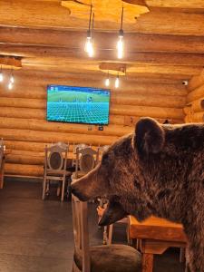 a brown bear standing in a room with a television at Barlogul Ursului in Baia Mare