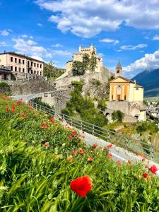 a field of flowers in front of a castle at Maison Plan de Dieu in Saint-Pierre