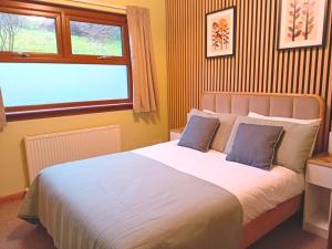 a bedroom with a large bed with two blue pillows at Deveron Lodge B&B in Turriff