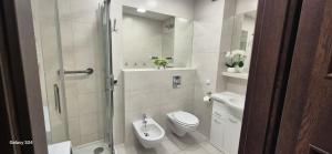 a bathroom with a shower and a toilet and a sink at Apartament SORENTO 7 in Gorzów Wielkopolski