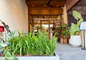 a store front with plants in front of a building at Nuan Nil Secret Courtyard in Chiang Mai