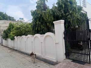 a dog standing next to a white fence at OP krishna homestay in Mathura