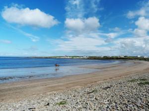 a dog walking on a beach near the water at 3 Bed in Doonbeg oc-ii15918 in Kilrush