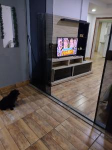 a black cat sitting in a living room watching a television at Casa para temporada próximo praça do canhão in São Pedro da Aldeia