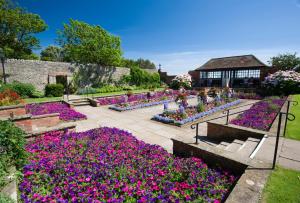 a garden with purple and pink flowers and a building at Mariners Balcony Apartment in Sidmouth +10 photos
