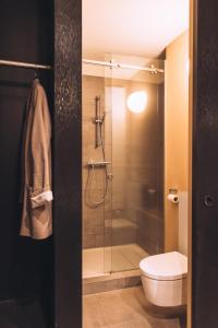 a bathroom with a shower and a toilet at Vaeshartelt Maastricht - Free Parking in Maastricht +50 photos