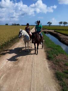 Um homem e uma mulher a cavalo numa estrada de terra em La Barraca d'en Salvador em Deltebre