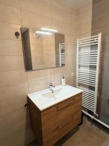 a bathroom with a sink and a mirror at Pop Mood Studio in Heillecourt