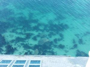 a view of the water from the roof of a building at ILE WRACH - Duplex de luxe avec magnifique vue mer in Landéda +46 photos