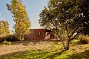 a small cabin with a tree in front of it at Cabaña Viedma in Viedma