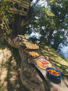 a group of plates of food sitting on a tree branch at Cabaña Viedma in Viedma