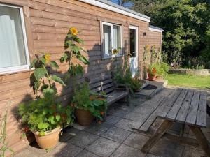 a wooden bench next to a house with potted plants at La Mer self-catering in Sark +1 photo
