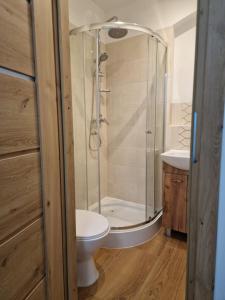 a bathroom with a shower and a toilet and a sink at Dzień dobry w Szczytnej in Szczytna