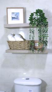 a shelf above a toilet with a basket of plants at Margarita 93 in Barranquilla +59 photos