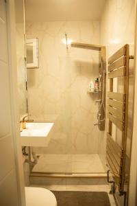 a bathroom with a shower and a sink and a toilet at Tina Home in Cluj-Napoca