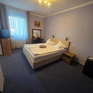 a bedroom with a bed in a room with a window at Conacul Domnesc in Suceava