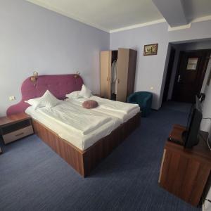 a bedroom with a large bed and a television at Conacul Domnesc in Suceava