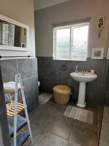 a bathroom with a sink and a toilet and a window at Fern Rivers Self-Catering Accommodation in Pietermaritzburg +20 photos