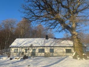 a white house with a snow covered roof at Fiskarhuset - seaside cottage 4 pax in Sjöbo +28 photos