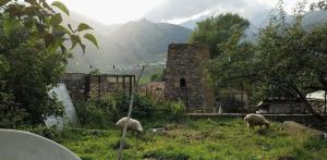 Landskap semula jadi dekat dengan rumah tamu ini