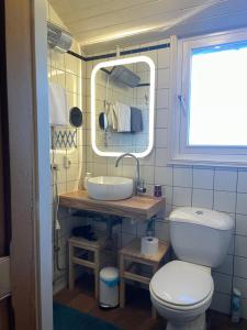 a bathroom with a toilet and a sink and a mirror at 't ouw ateljeeke in Budel +37 photos