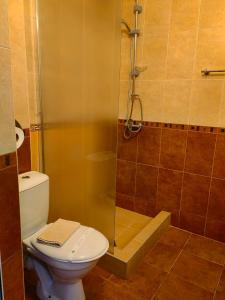 a bathroom with a toilet and a glass shower at Hostel By the Hill in Veliko Tŭrnovo +1 photo